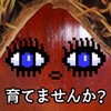 MshowPro 