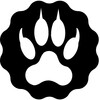 网飞猫